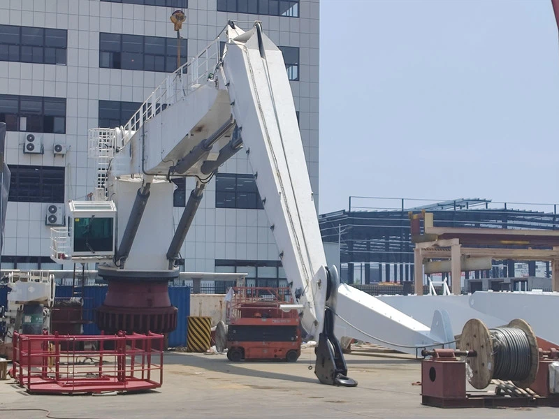 AHC Articulate Boom Offshore Crane