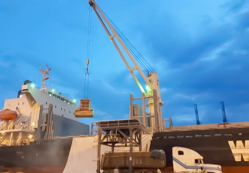 Offshore Pedestal Crane Offshore Pedestal Crane